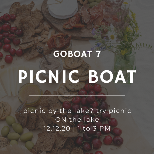 Picnic boat